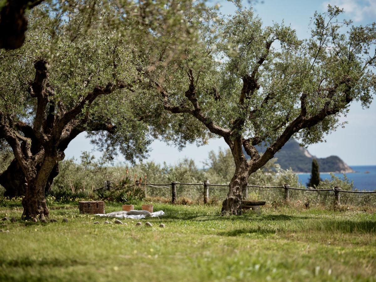 Leeda'S Village Lithakia  Dış mekan fotoğraf